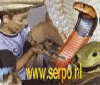 reptielenzoo serpo foto