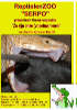 reptielenzoo serpo foto